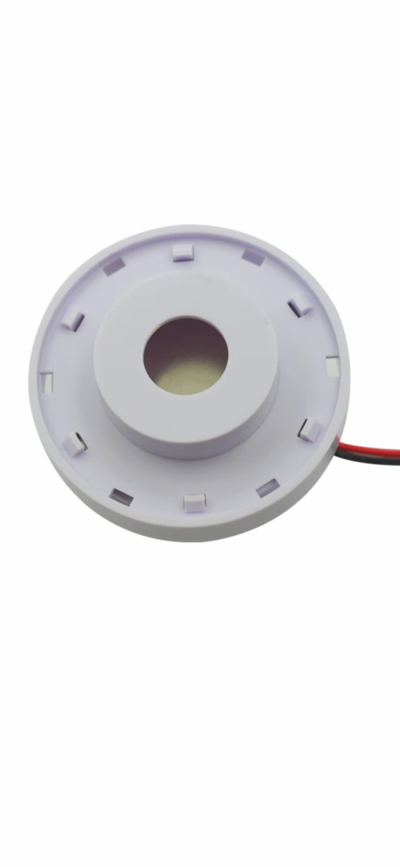 Rec rego 12volt Horn buzzer