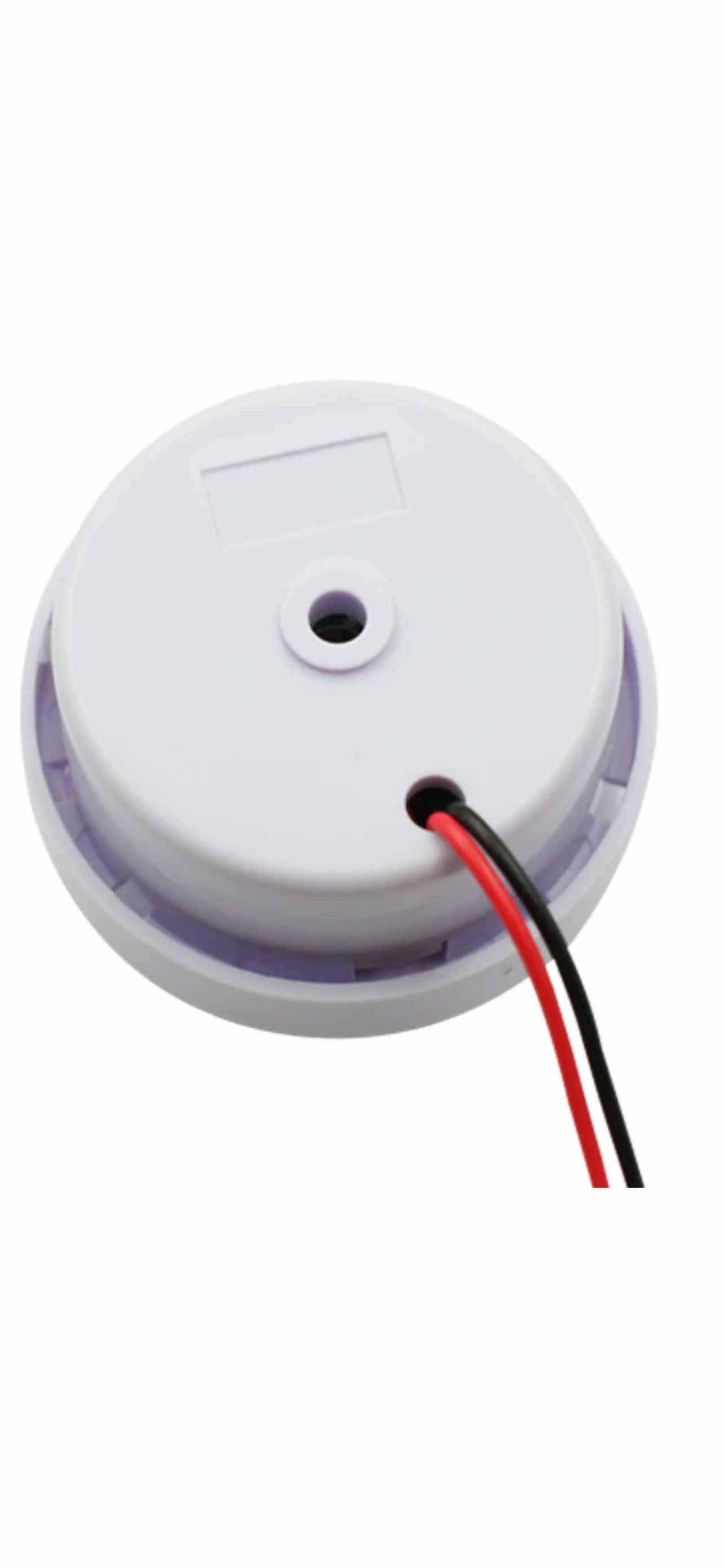 Rec rego 12volt Horn buzzer